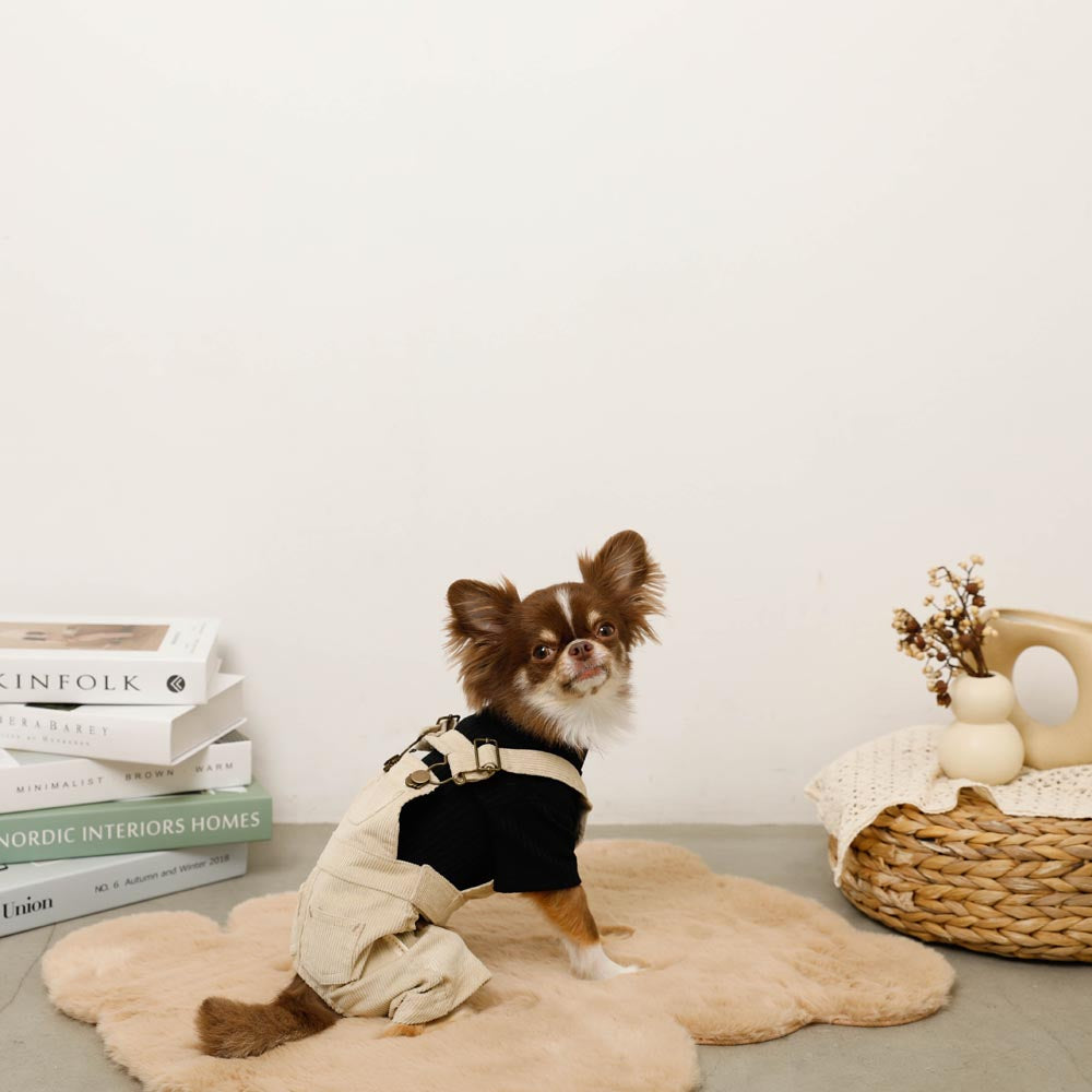 コーデュロイオーバーオール