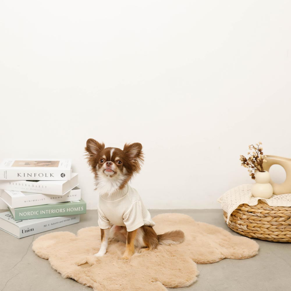 Simple high neck rib tops