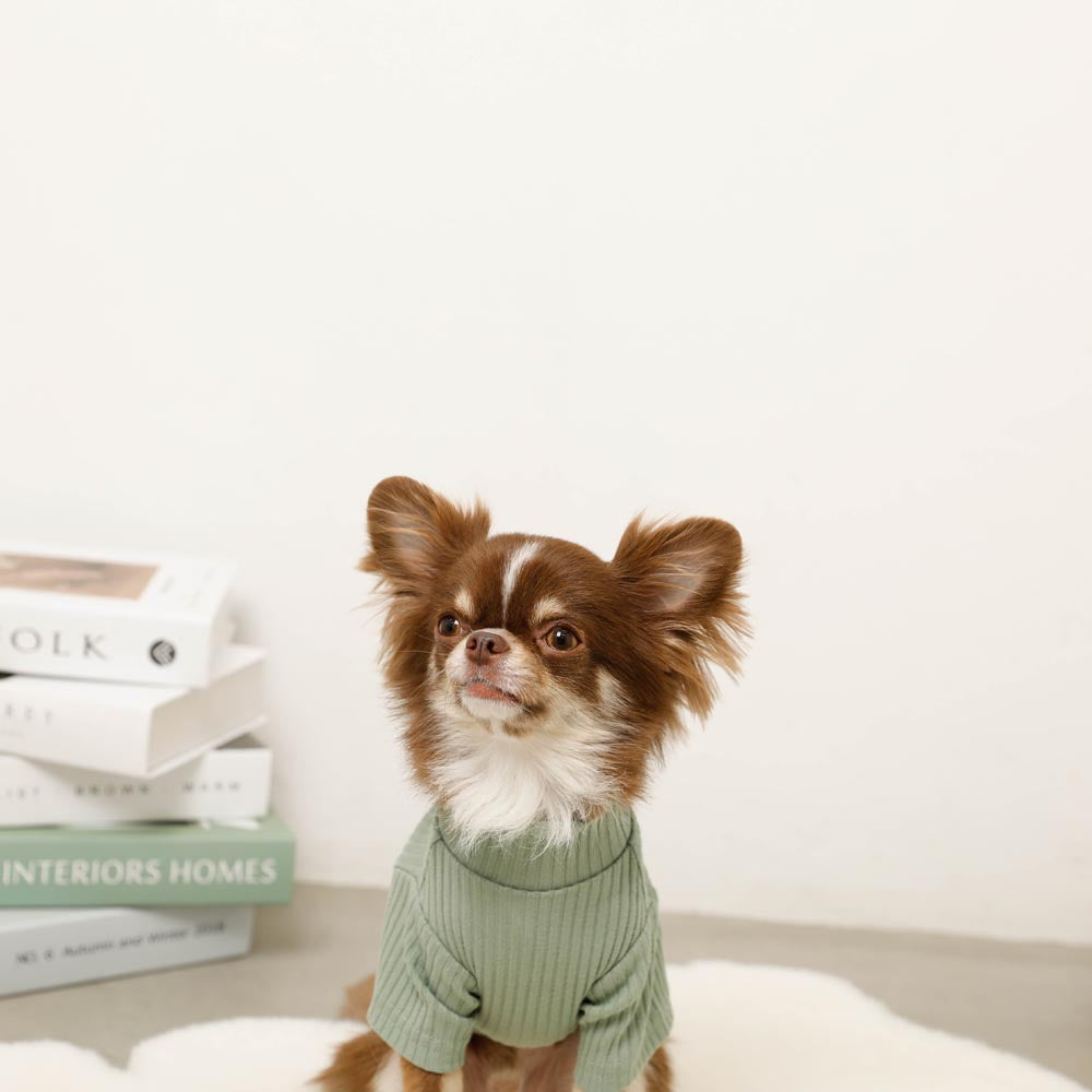 Simple high neck rib tops