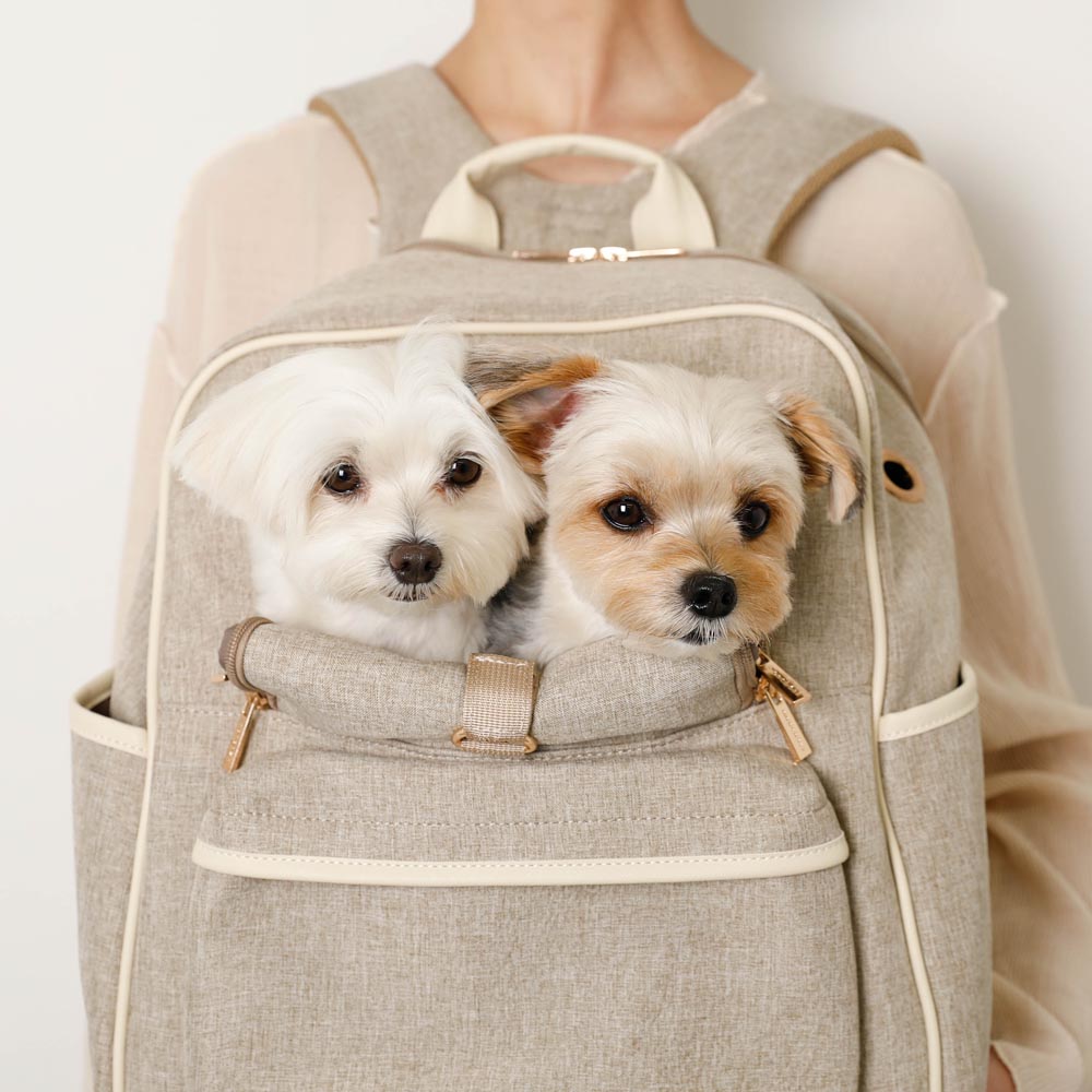 パイピングリュックキャリー