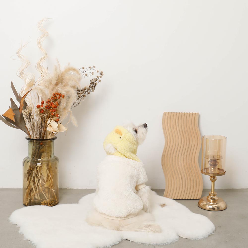 小鸡先生bohood派克