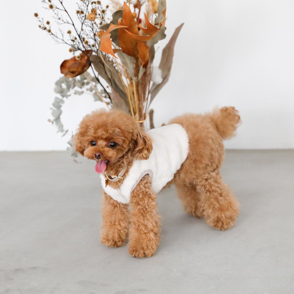 boa piping button vest