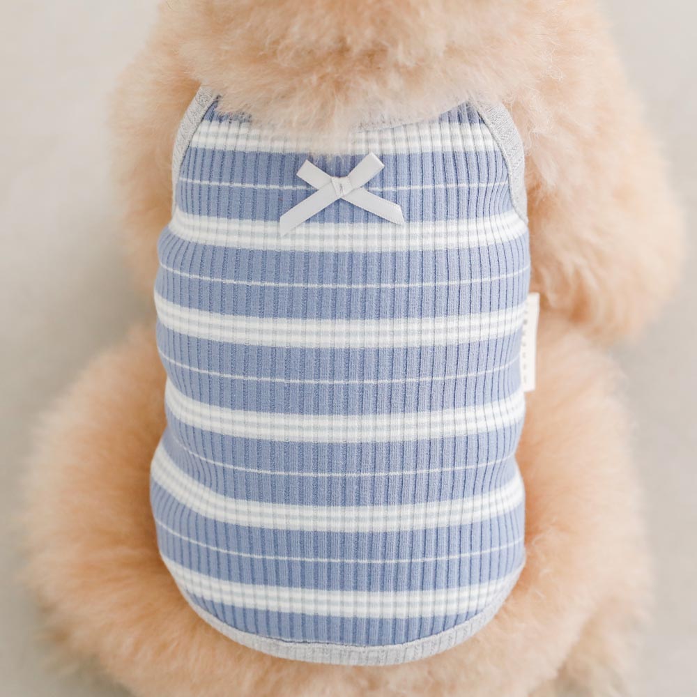 color border camisole