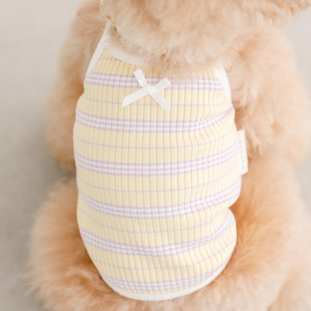 color border camisole