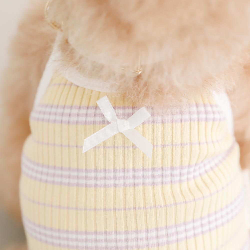 color border camisole