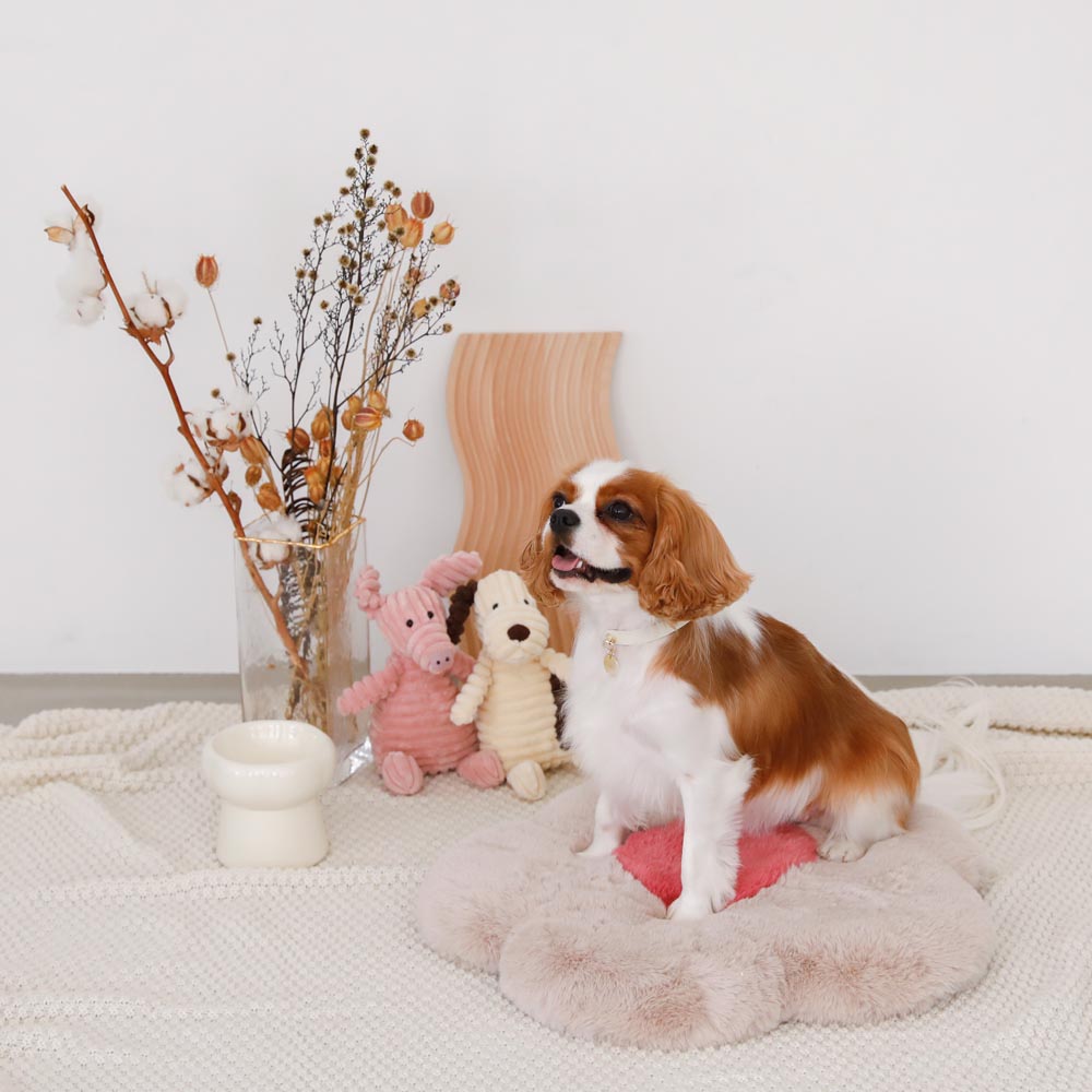 high stand food bowl