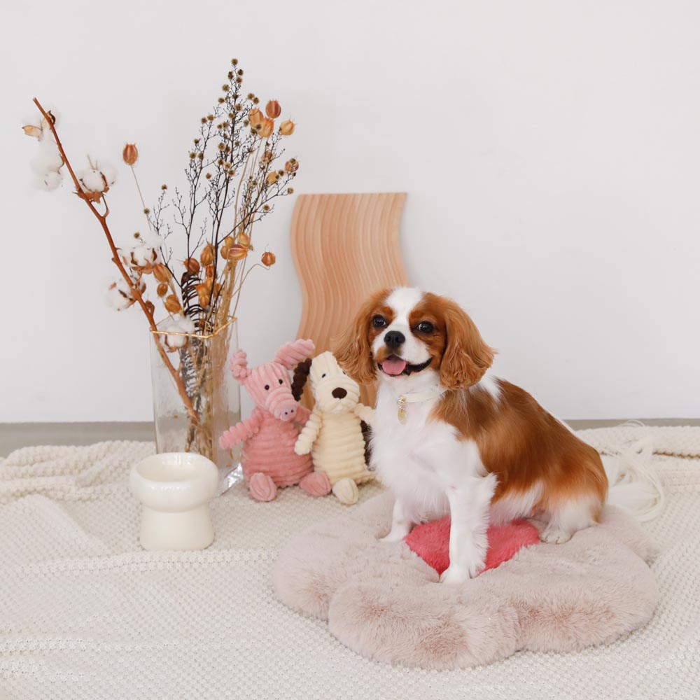 high stand food bowl