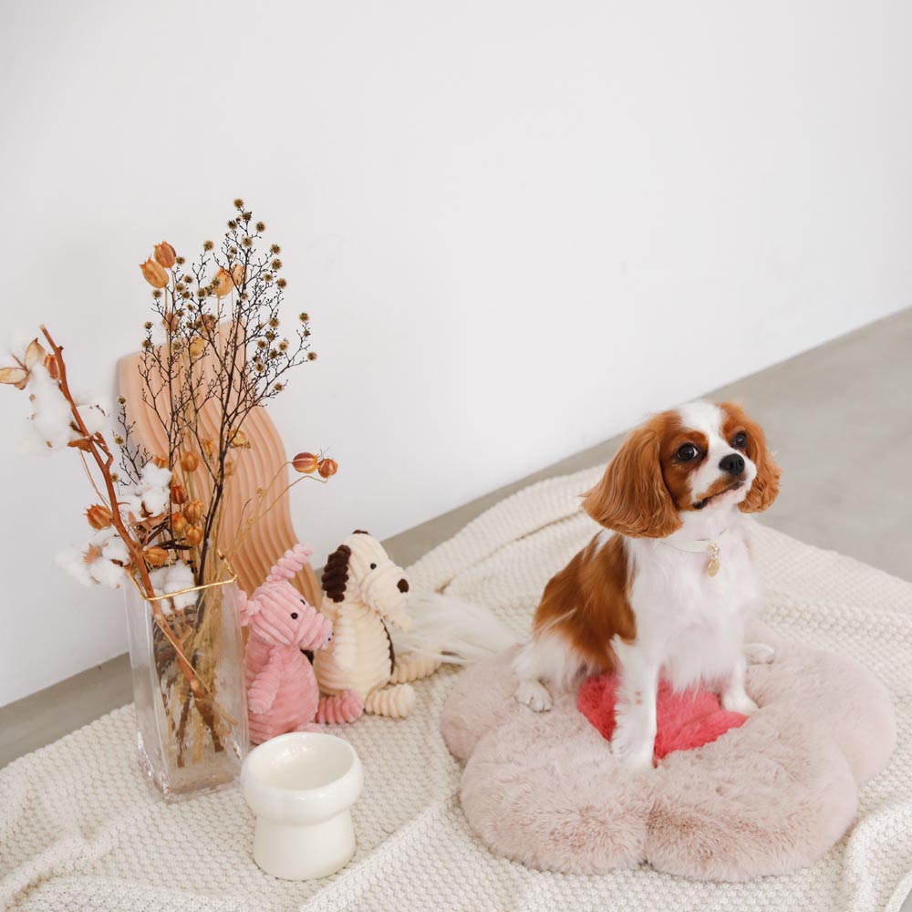 high stand food bowl