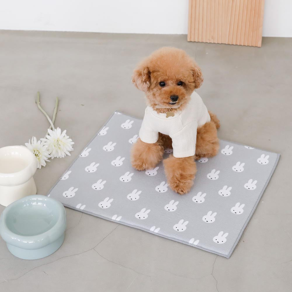 high stand food bowl