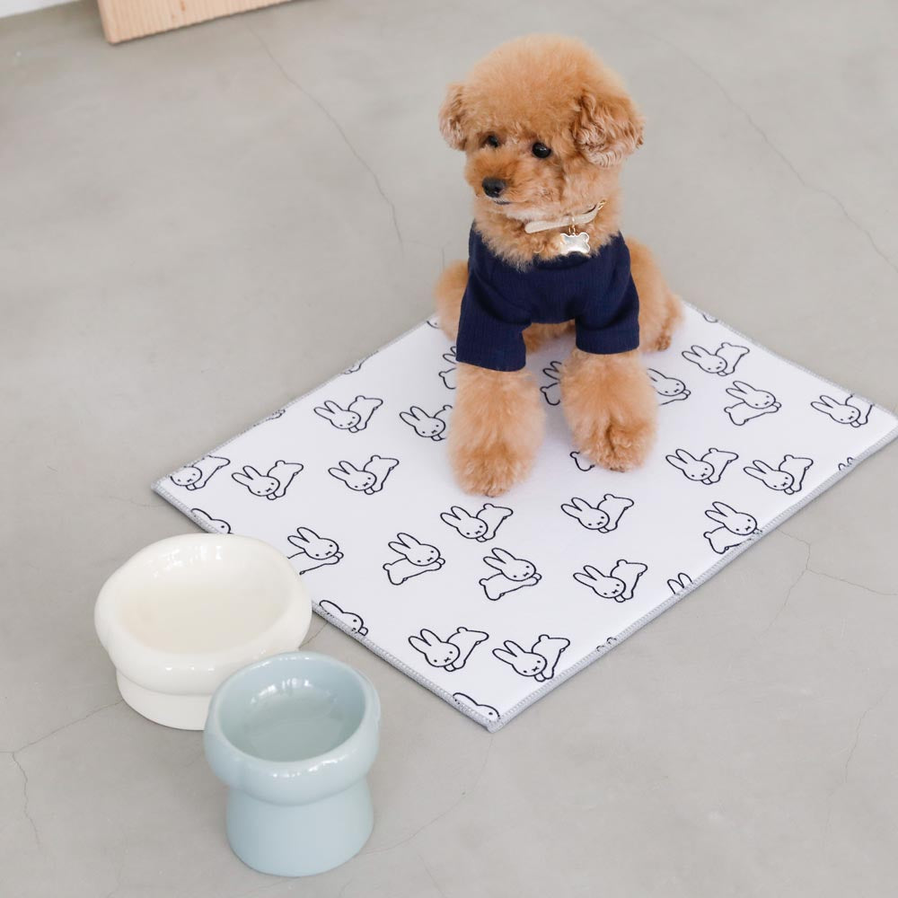 high stand food bowl