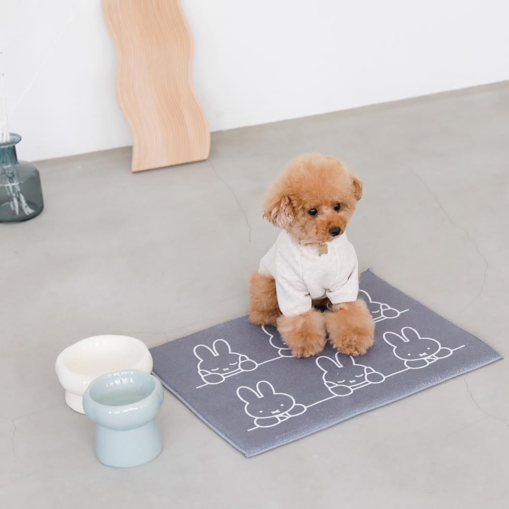 high stand food bowl