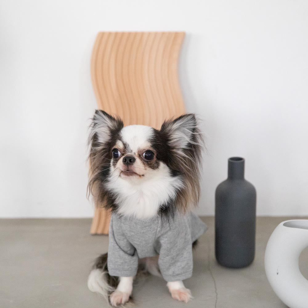 back ribbon sweat tops