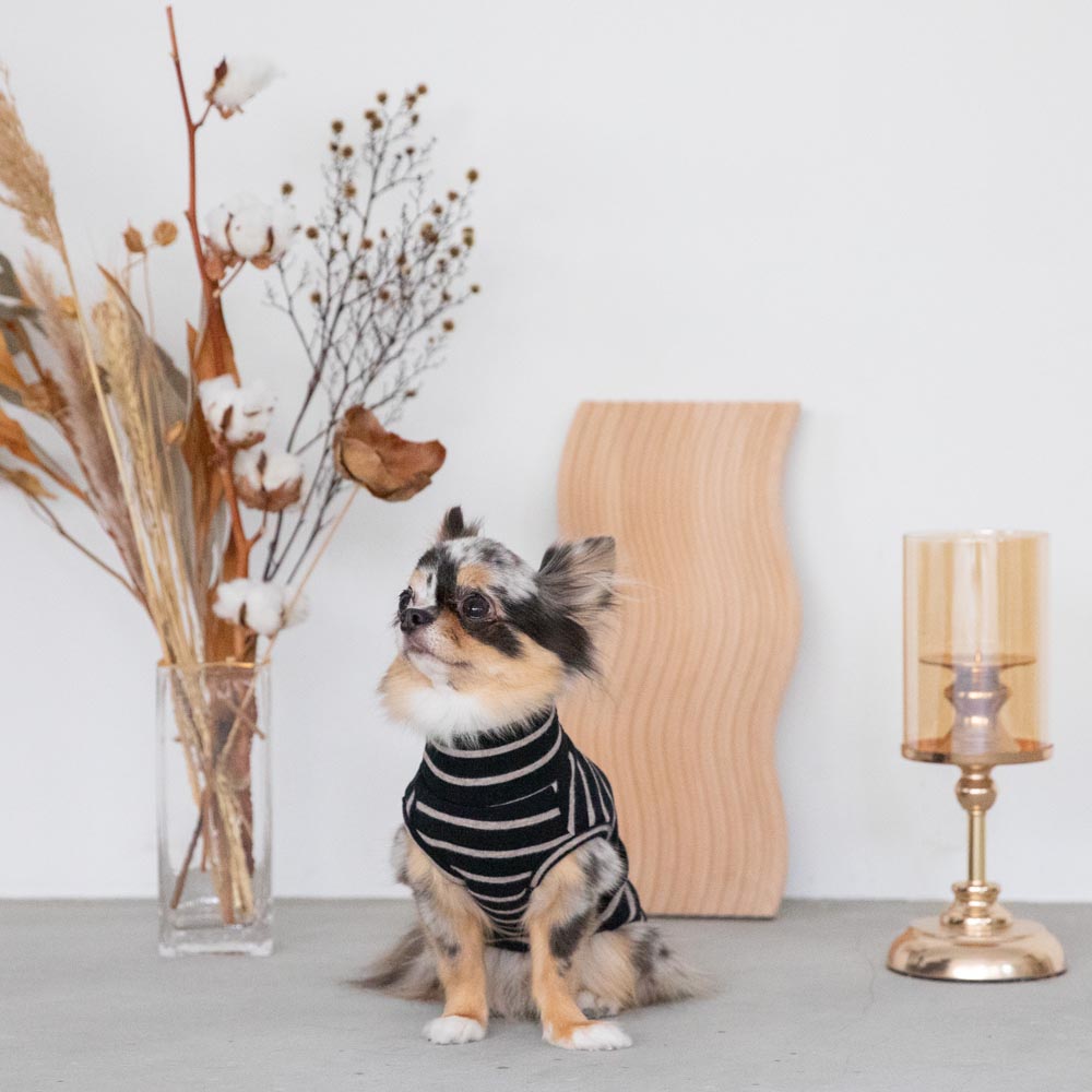 ボーダーハイネックトップス