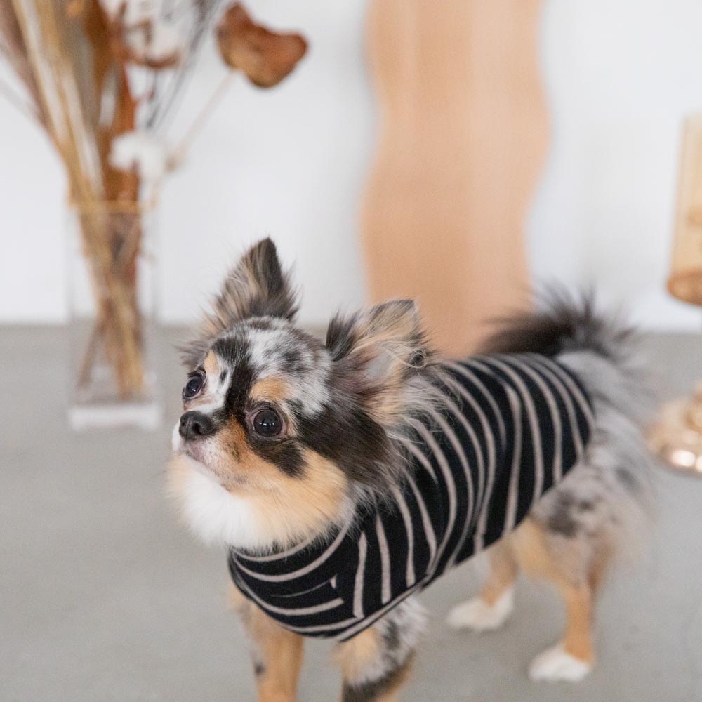 ボーダーハイネックトップス