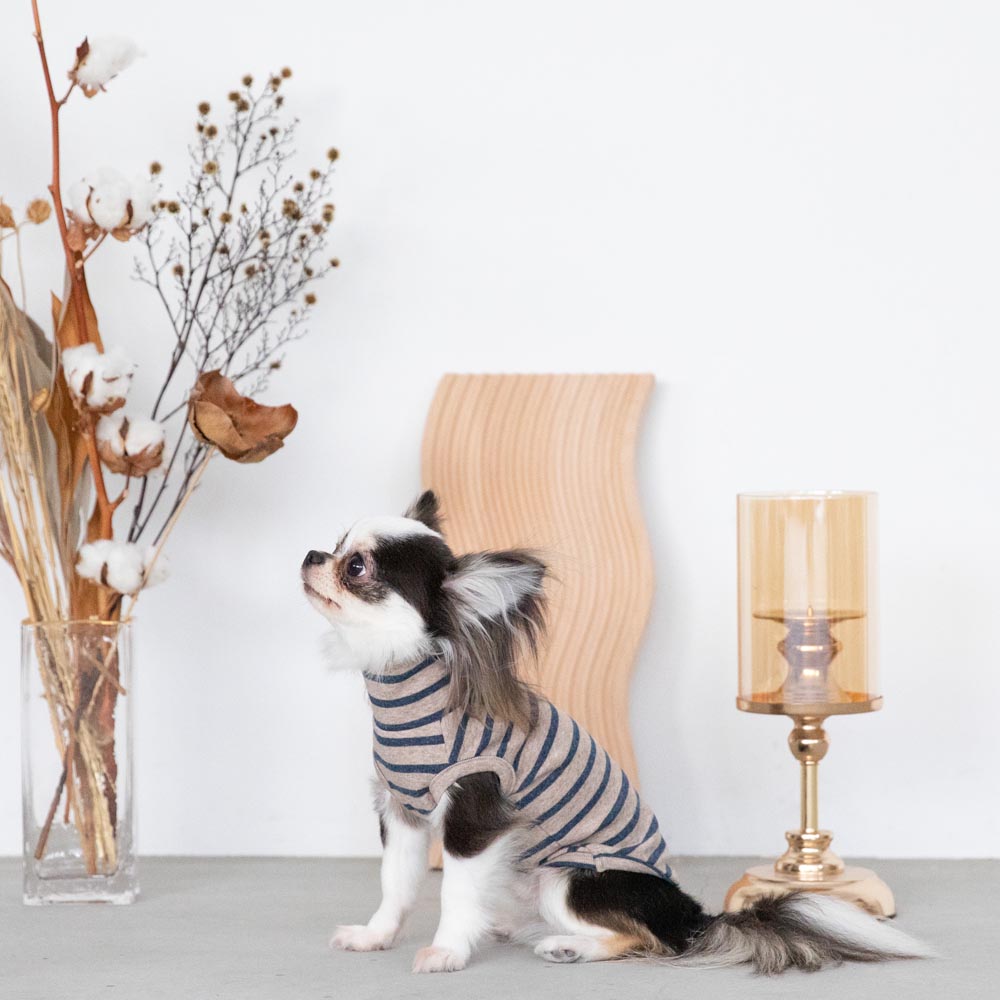 ボーダーハイネックトップス