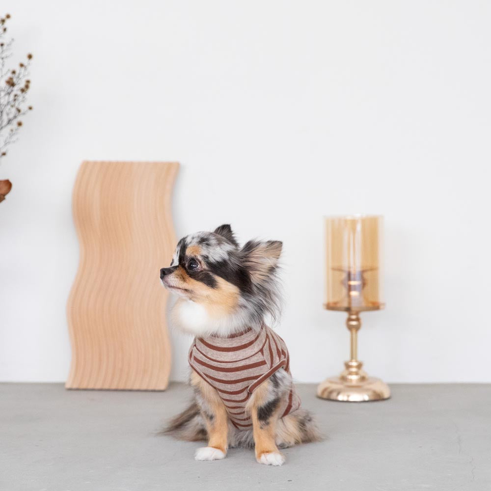 ボーダーハイネックトップス