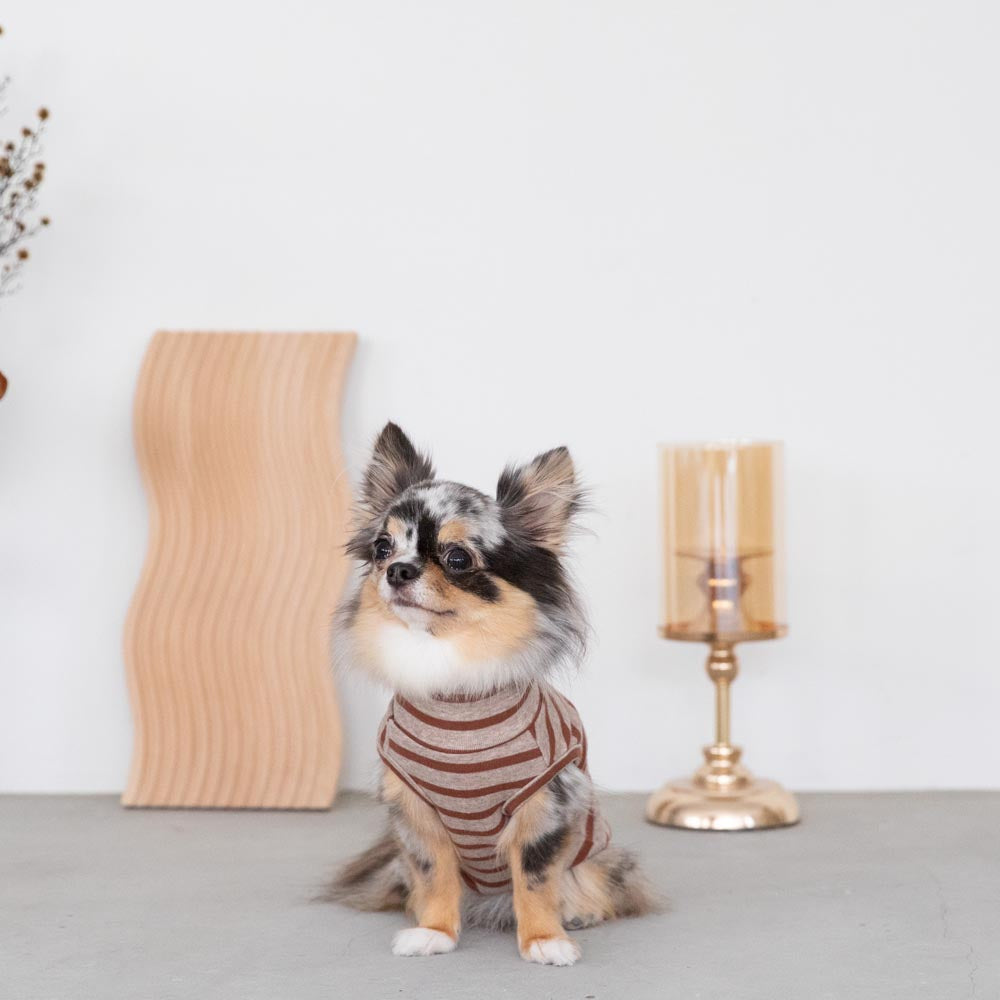 ボーダーハイネックトップス