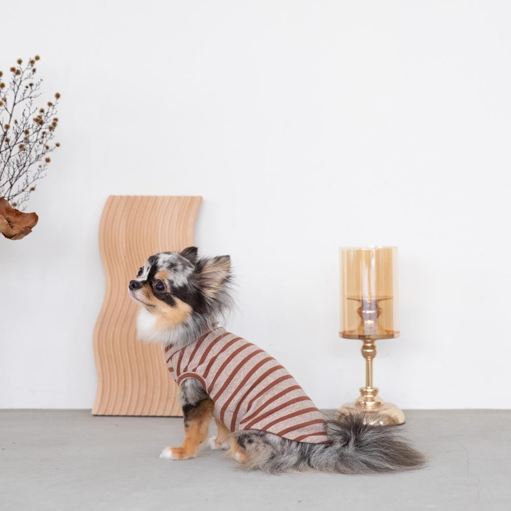 ボーダーハイネックトップス