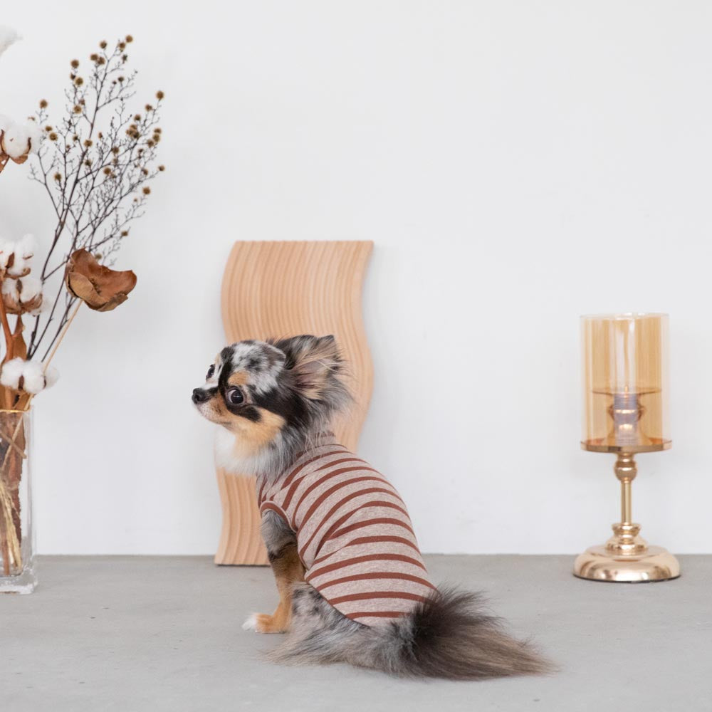 ボーダーハイネックトップス