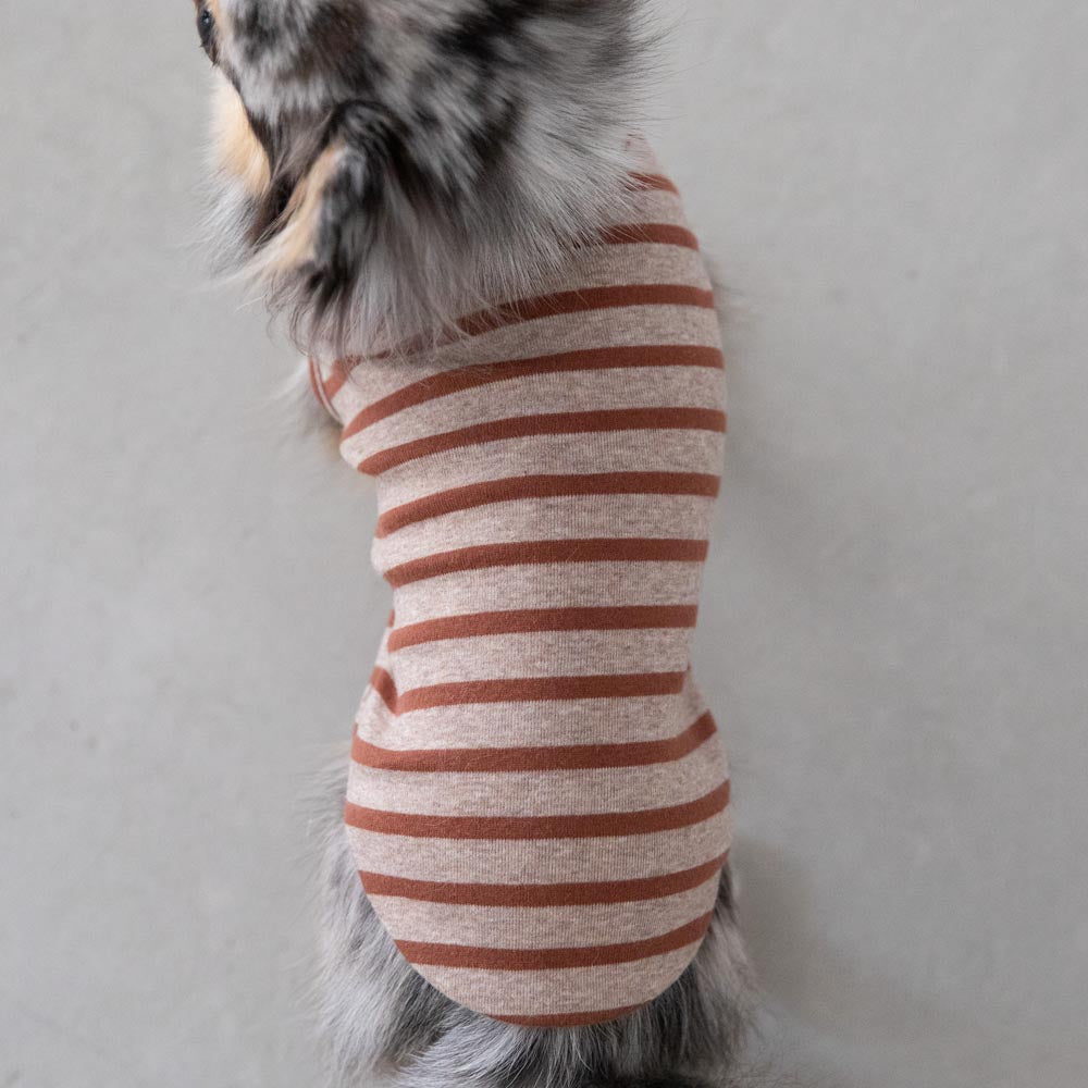 ボーダーハイネックトップス