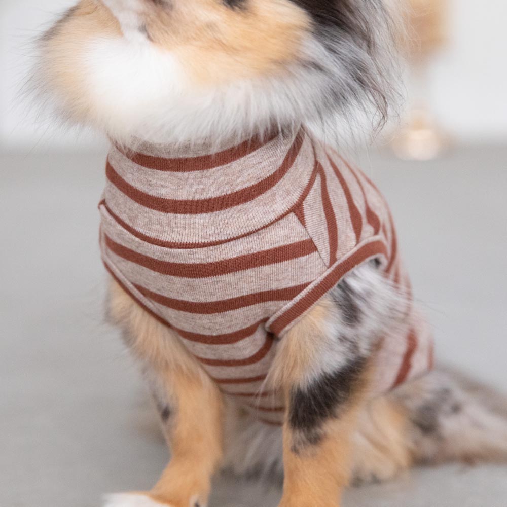 ボーダーハイネックトップス