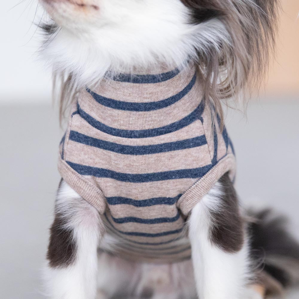 ボーダーハイネックトップス