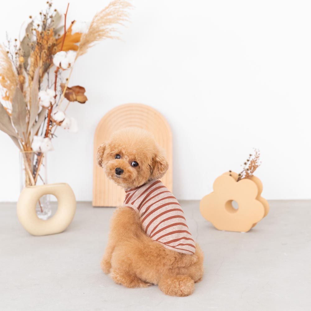 ボーダーハイネックトップス