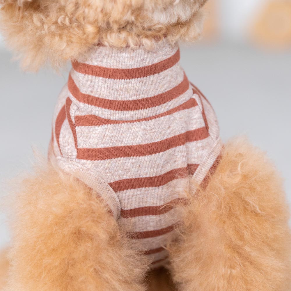 ボーダーハイネックトップス