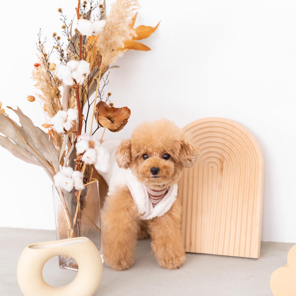 ボーダーハイネックトップス