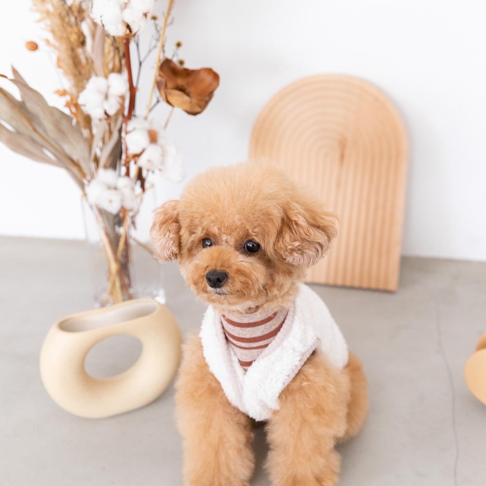 ボーダーハイネックトップス