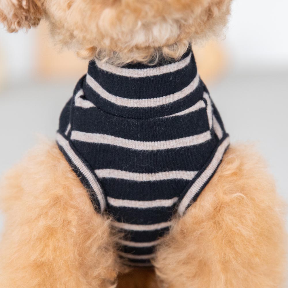 ボーダーハイネックトップス