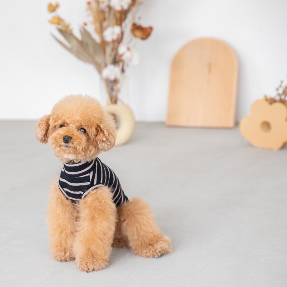 ボーダーハイネックトップス