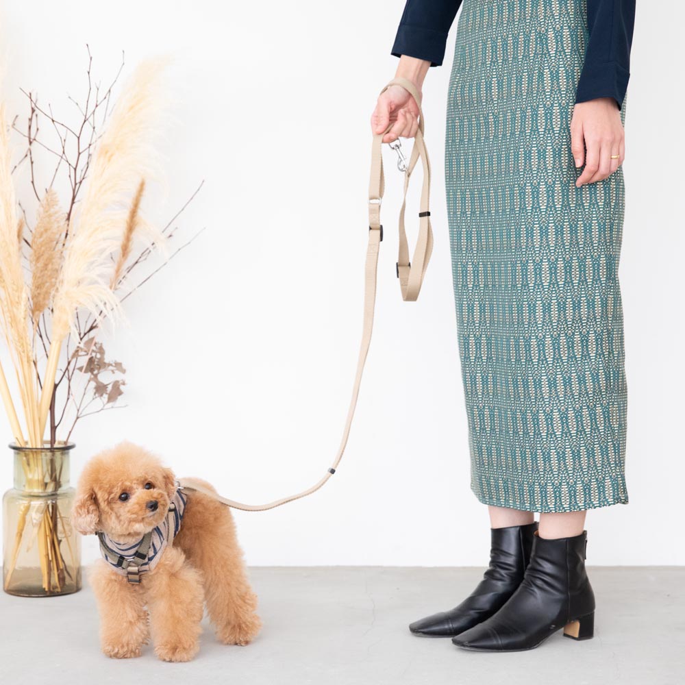 简单的基本颜色阅读