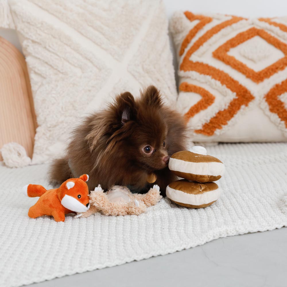 鼻子工作热蛋糕