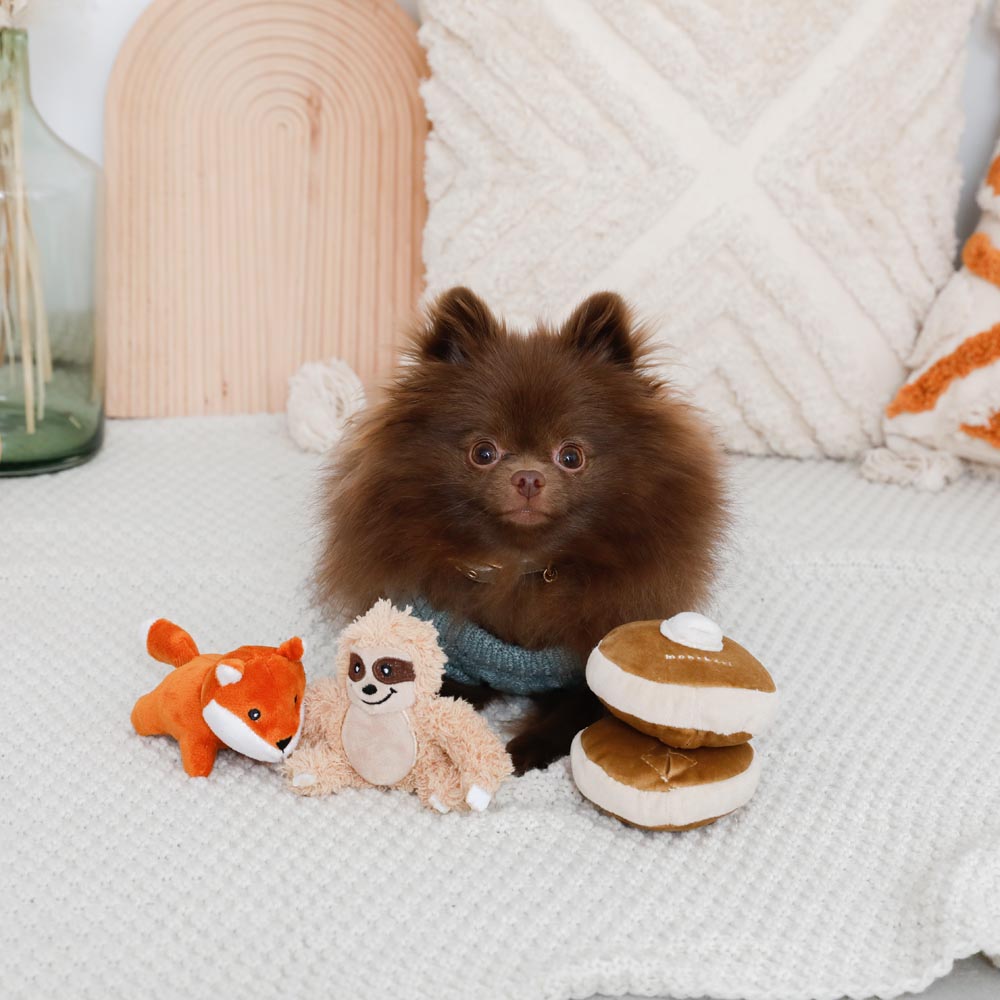 鼻子工作热蛋糕