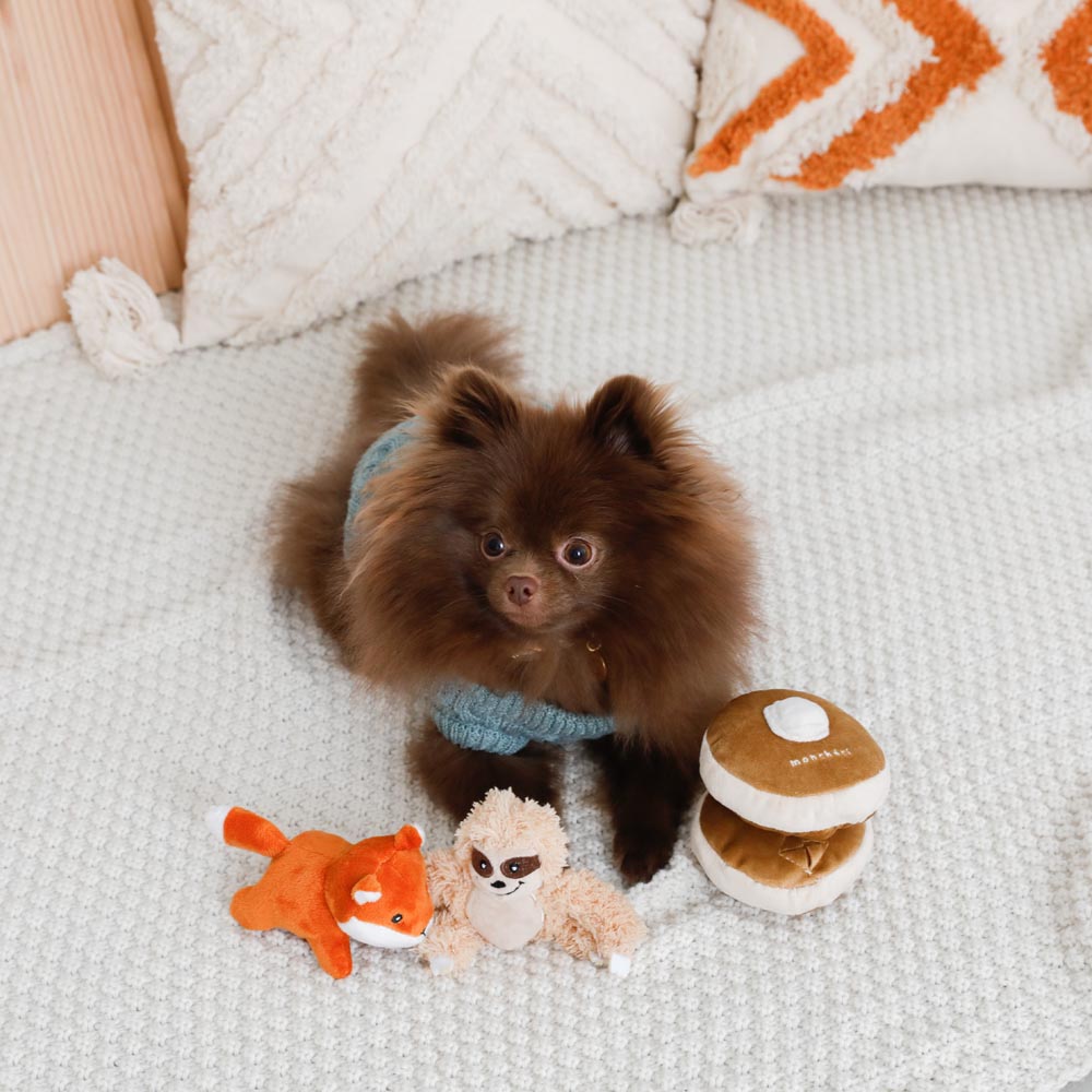 鼻子工作热蛋糕