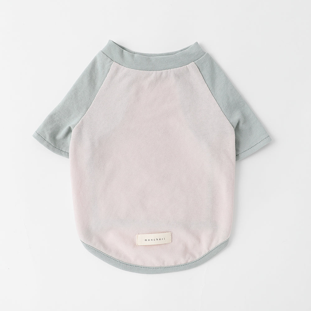 Color scheme raglan collar T-shirt