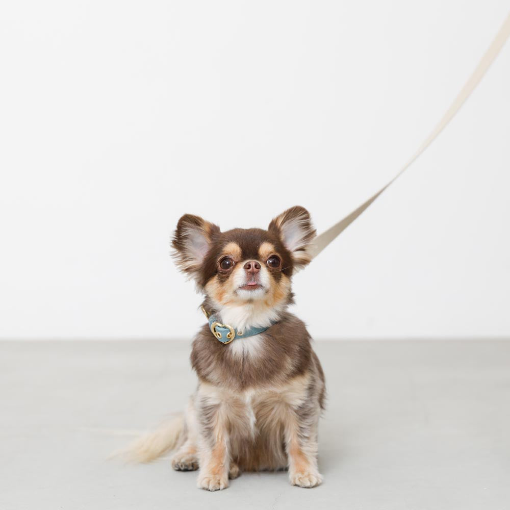 收缩皮革棉树脂