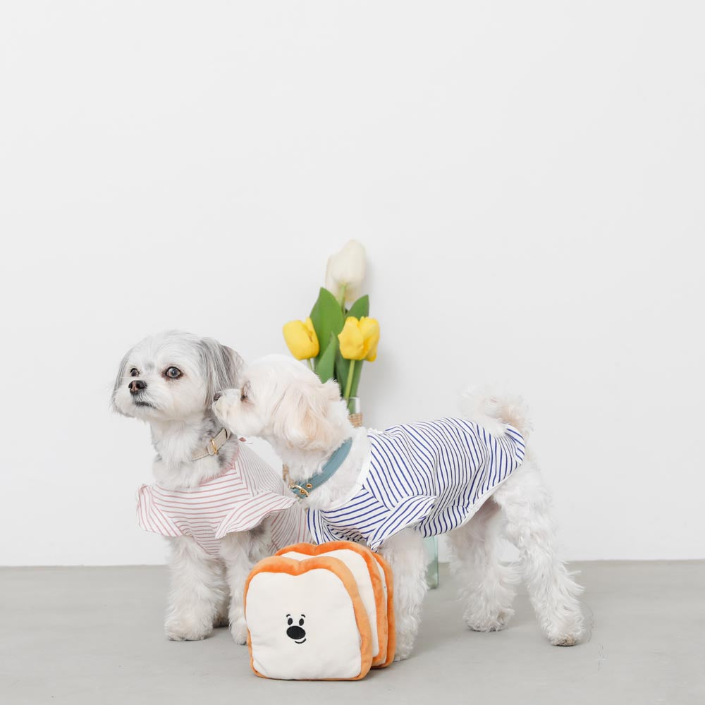 ノーズワーク食パン3SET