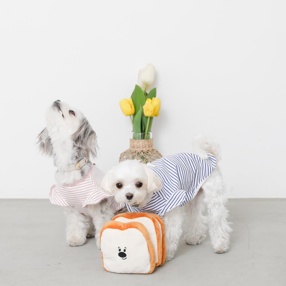 ノーズワーク食パン3SET