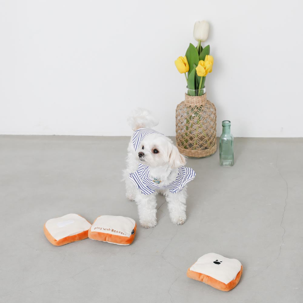 ノーズワーク食パン3SET