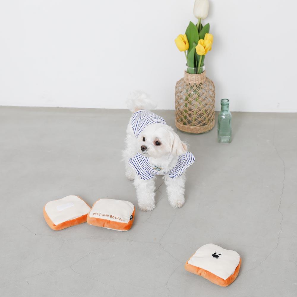 ノーズワーク食パン3SET