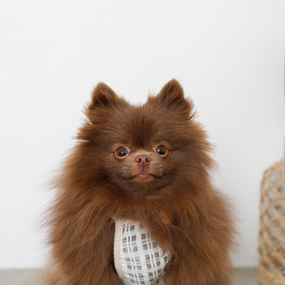 透明检查管卡钳