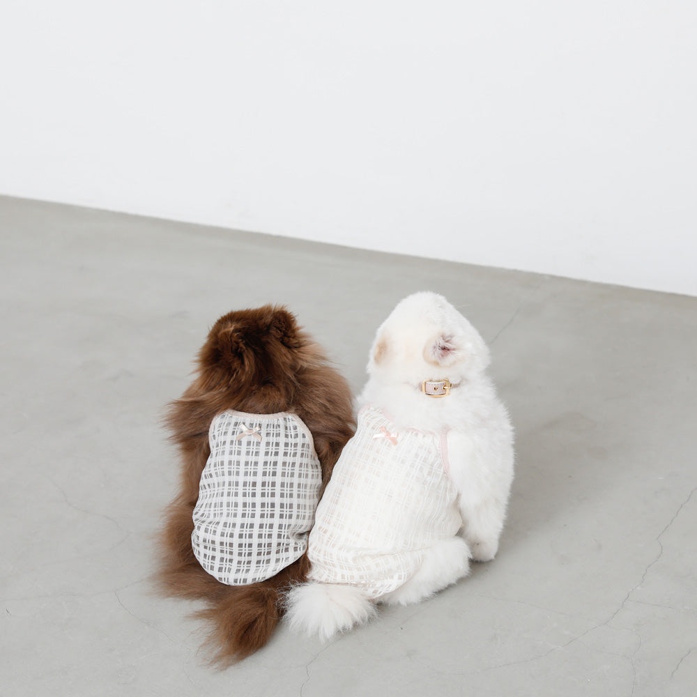 透明检查管卡钳