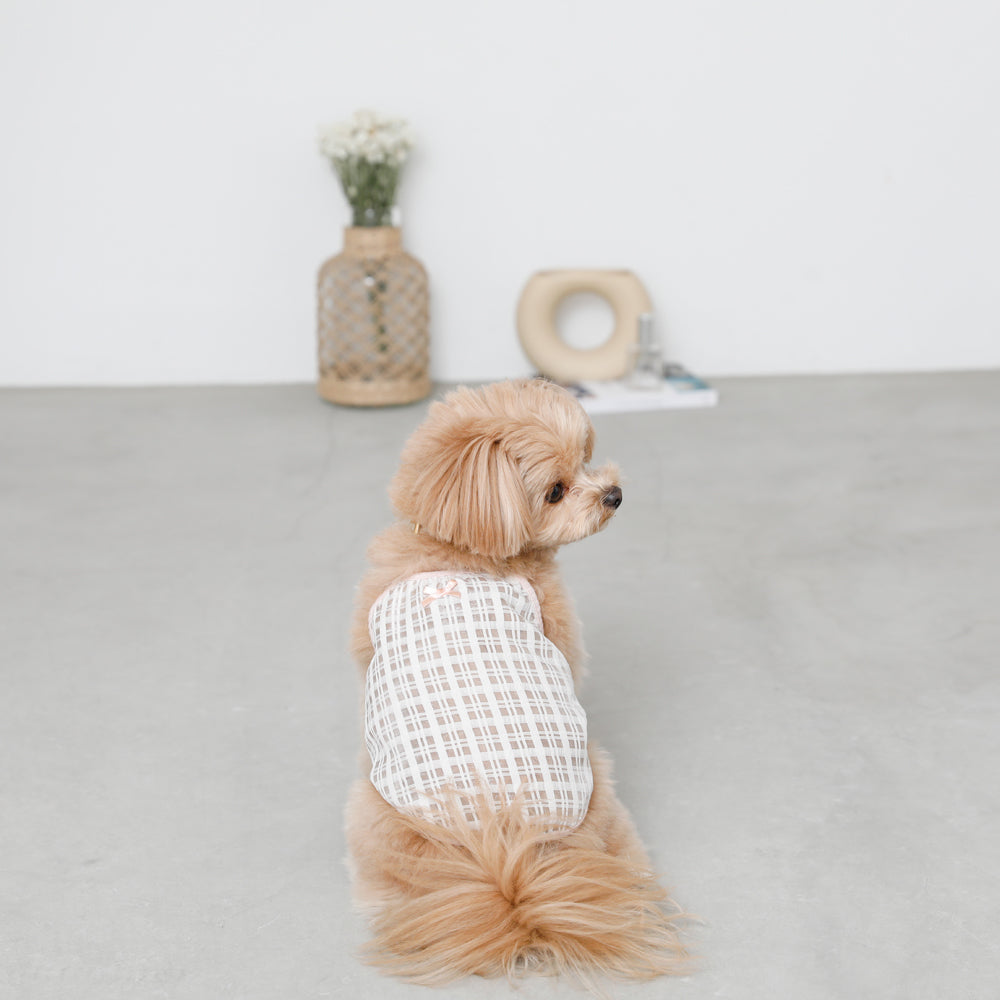 透明检查管卡钳