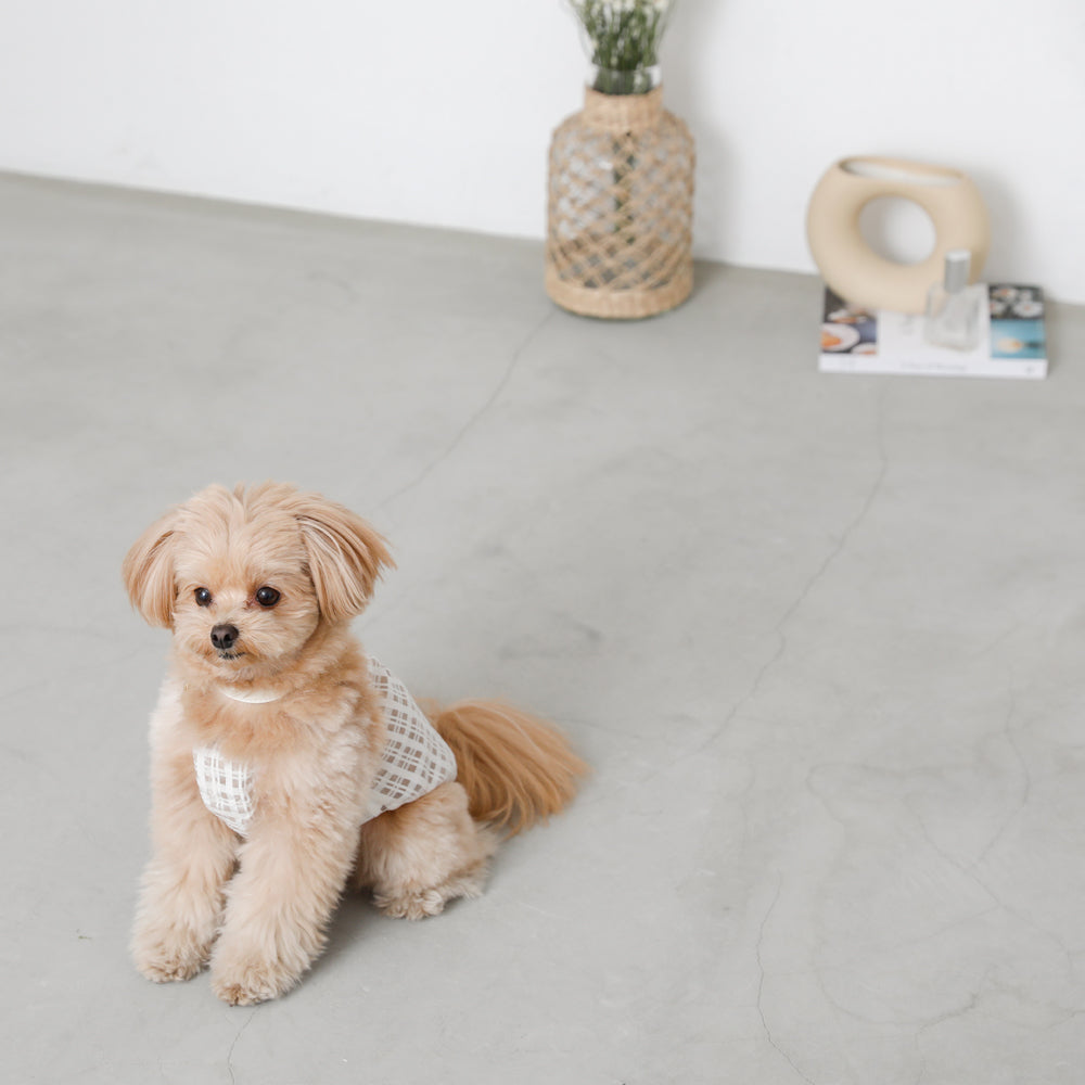 透明检查管卡钳