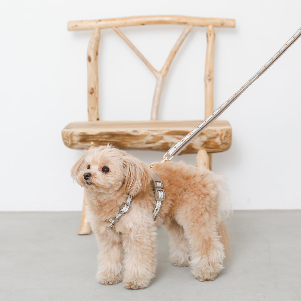 2wayフラワーテープリード