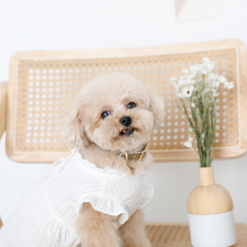 Back ribbon frill gathered dress