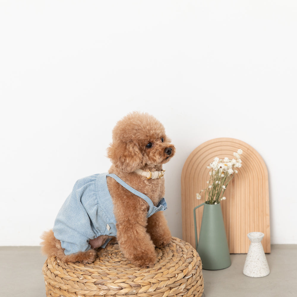Denim shirred overalls