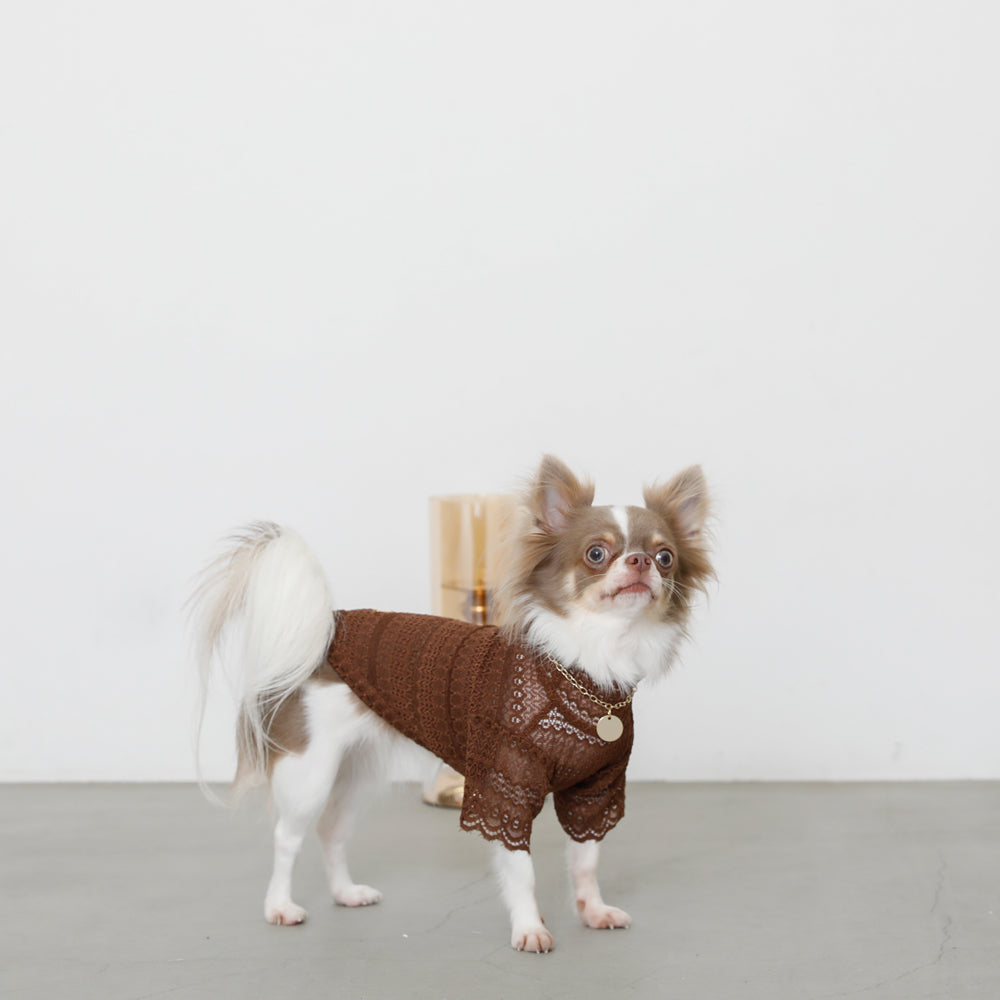 サークルチャームチェーンネックレス【名入れ彫刻対応】